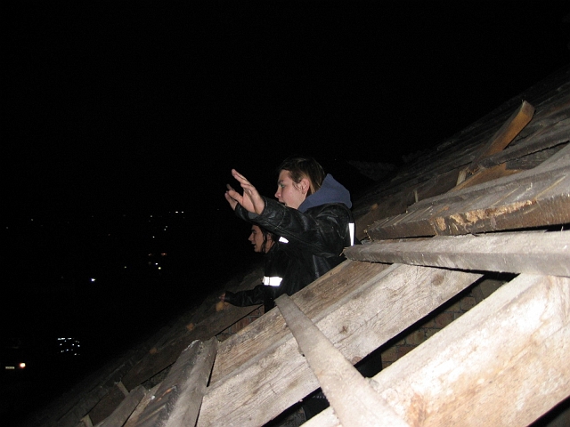 bild (3)